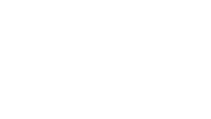 buzz white logo